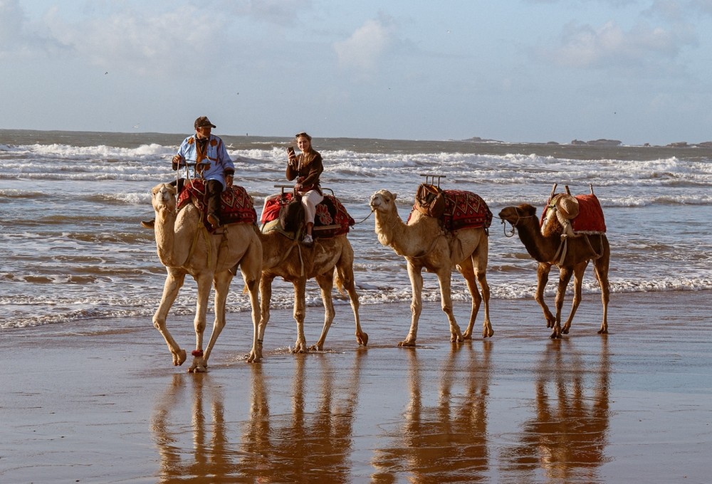 Le Jardin des Douars